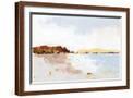 Brown Frame