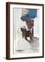 Brown Frame