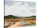 Stretched Canvas