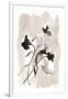 Gramercy White