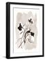Black Frame