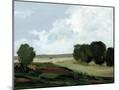 Wood Mount