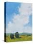 Stretched Canvas