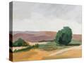 Stretched Canvas