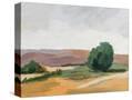 Stretched Canvas