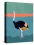 Stretched Canvas
