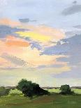 Evening Skies III-Pamela Munger-Art Print