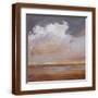 Brown Frame