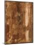 Wood Mount