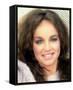 Pamela Sue Martin-null-Framed Stretched Canvas