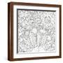 Brown Frame