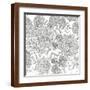 Brown Frame