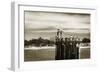 Pamlico Gulls II-Alan Hausenflock-Framed Photographic Print