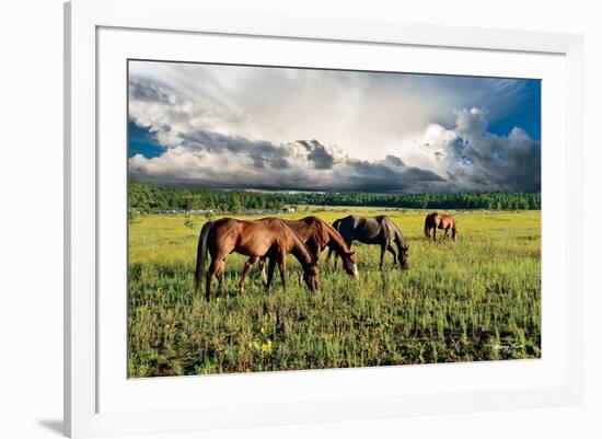 Pammie’s Pasture-Barry Hart-Framed Giclee Print