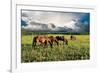 Pammie’s Pasture-Barry Hart-Framed Giclee Print