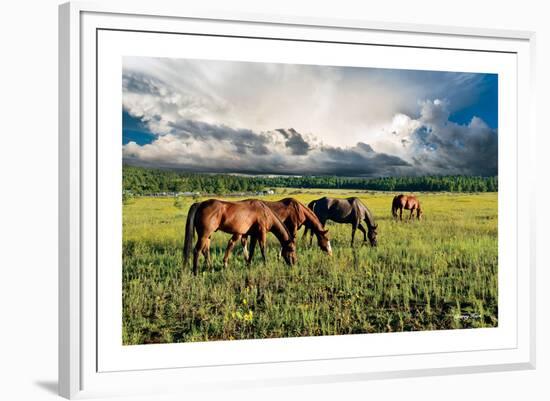 Pammie’s Pasture-Barry Hart-Framed Giclee Print