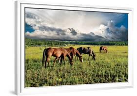 Pammie’s Pasture-Barry Hart-Framed Giclee Print