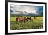 Pammie’s Pasture-Barry Hart-Framed Giclee Print