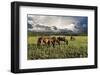 Pammie’s Pasture-Barry Hart-Framed Art Print