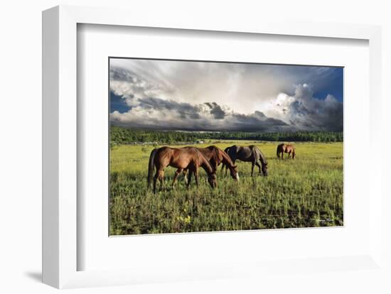 Pammie’s Pasture-Barry Hart-Framed Art Print