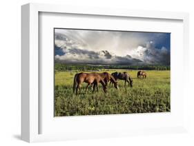 Pammie’s Pasture-Barry Hart-Framed Art Print