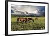 Pammie’s Pasture-Barry Hart-Framed Art Print