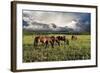 Pammie’s Pasture-Barry Hart-Framed Art Print