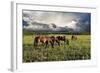 Pammie’s Pasture-Barry Hart-Framed Art Print