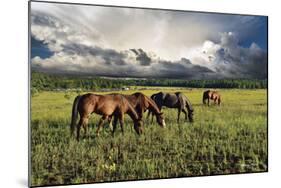 Pammie’s Pasture-Barry Hart-Mounted Art Print