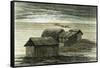 Pampa 1869 Peru-null-Framed Stretched Canvas