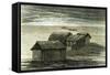 Pampa 1869 Peru-null-Framed Stretched Canvas