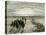 Pampa 1869 Peru-null-Stretched Canvas