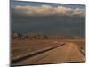 Pampa, Llalqui, Atacama, Chile, South America-R Mcleod-Mounted Photographic Print