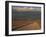 Pampa, Llalqui, Atacama, Chile, South America-R Mcleod-Framed Photographic Print