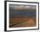 Pampa, Llalqui, Atacama, Chile, South America-R Mcleod-Framed Photographic Print