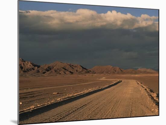 Pampa, Llalqui, Atacama, Chile, South America-R Mcleod-Mounted Photographic Print