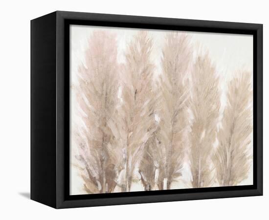 Pampas Grass I-Tim OToole-Framed Stretched Canvas