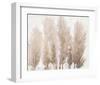 Pampas Grass II-Tim OToole-Framed Art Print