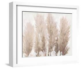 Pampas Grass II-Tim OToole-Framed Art Print