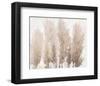 Pampas Grass II-Tim OToole-Framed Art Print