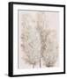 Pampas Grass IV-Tim OToole-Framed Art Print