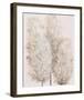 Pampas Grass IV-Tim OToole-Framed Art Print