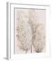 Pampas Grass IV-Tim OToole-Framed Art Print