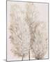 Pampas Grass IV-Tim OToole-Mounted Art Print