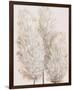 Pampas Grass IV-Tim OToole-Framed Art Print