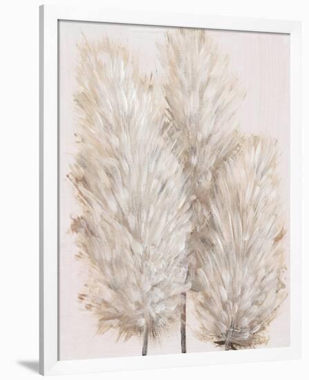 Pampas Grass IV-Tim OToole-Framed Art Print