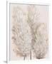 Pampas Grass IV-Tim OToole-Framed Art Print