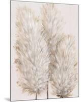 Pampas Grass IV-Tim OToole-Mounted Art Print