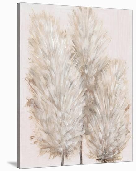 Pampas Grass IV-Tim OToole-Stretched Canvas