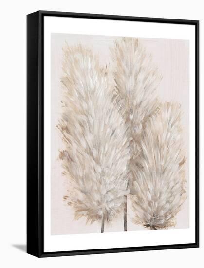 Pampas Grass IV-Tim OToole-Framed Stretched Canvas